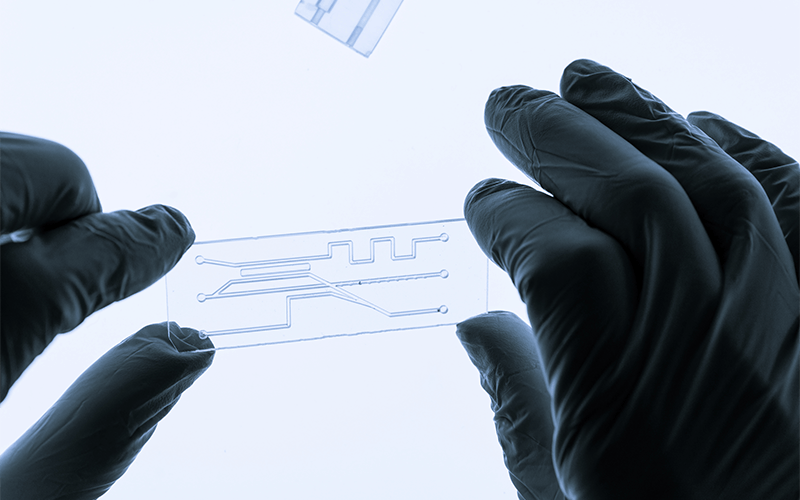 Life Sciences